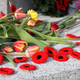 Illustration for article titled 2018 Remembrance Day at Mountain View Cemetery